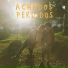 Achados Perdidos