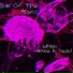 Sun Of The Abyss
