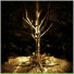 MIDGARD