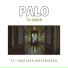 Palo Pandolfo, Santiago Motorizado