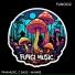 PINAMUSIC, C Bass
