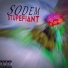 Sodem