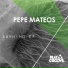 Pepe Mateos