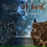 Web of Lies