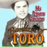 Banda Toro