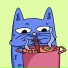Hazen Cantor, Chill Kitten