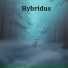 Hybridus