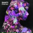 Santi