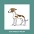 Relaxing Dog Music