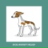 Relaxing Dog Music