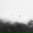 deep ambient techno