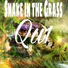 Qu1