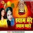 Yasu Deewani, Sabreen