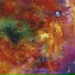 Cybiont