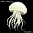 Mantelbahn