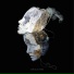 Equilibrium