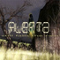 Alepta