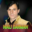 wali Darman