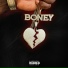 Bigbone
