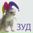 ЗУД