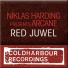 Niklas Harding presents Arcane