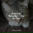 Cat Music, RelaxMyCat, Cat Music Dreams