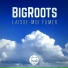 Bigroots
