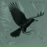 ALLPLACE