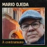 Mario Ojeda