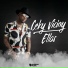 Ceky Viciny
