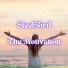 SteelBird