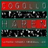 Cogollo, Saymon Gomez