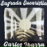 Carlos Ibarra