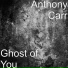 Stefan Anion Progressive Breaks Vol.1