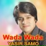 Yasir Samo
