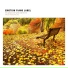 Landscape Sound