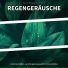 Thilo Jex, Regengeräusche, Schlafmusik