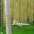Hamid Motebassem