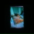 SOLDER