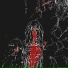 TERRXRIZE