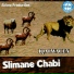 Slimane Chabi