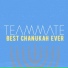TeamMate