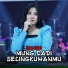 Intan Afifah feat. New Pallapa