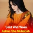 Said Wali Wazir