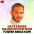 Toqeer Abbas Kami