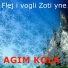 Agim Kola