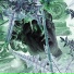 quanta2