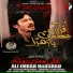 Ali Imran Naushad