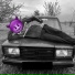 KAV