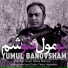 Afshar Namvar feat. Firouz Veysanlou